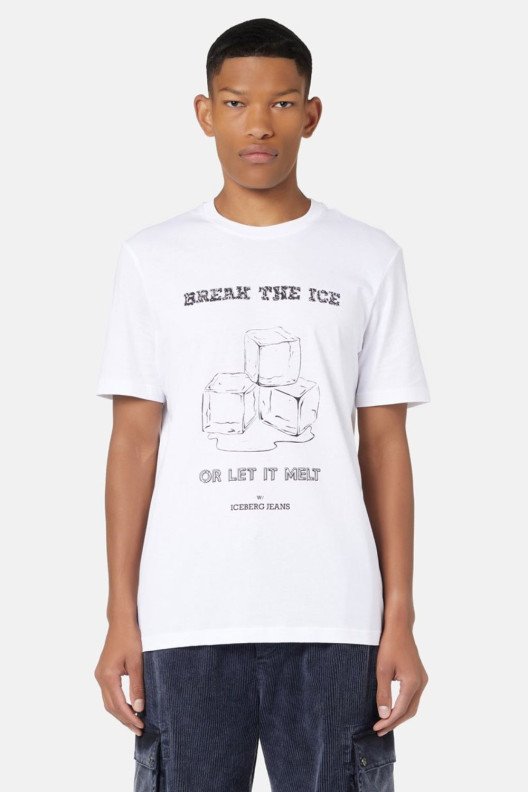 Футболка F01AP400 - 1101