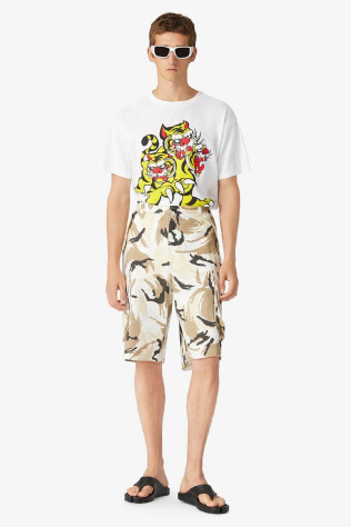 Шорты fb55sh2341pc