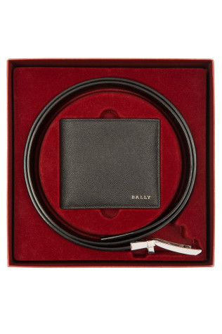 Набор: ремень и портмоне 60325125901